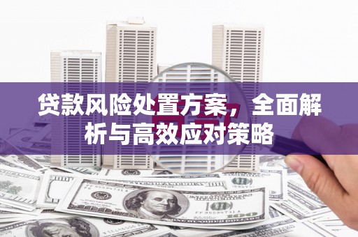 贵溪贷款风险处置方案，全面解析与高效应对策略