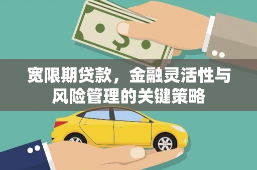贵溪宽限期贷款，金融灵活性与风险管理的关键策略