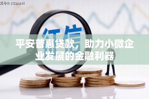 贵溪平安普惠贷款，助力小微企业发展的金融利器