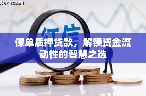 贵溪保单质押贷款，解锁资金流动性的智慧之选
