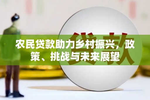 贵溪农民贷款助力乡村振兴，政策、挑战与未来展望