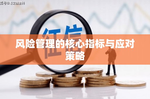 贵溪风险管理的核心指标与应对策略