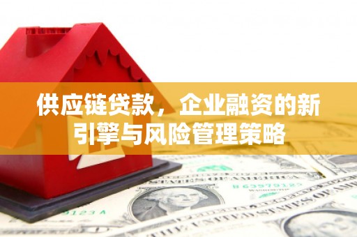 贵溪供应链贷款，企业融资的新引擎与风险管理策略