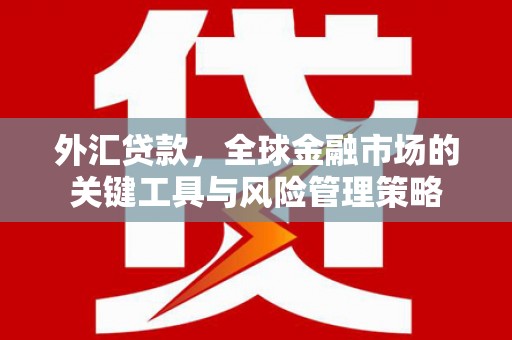 贵溪外汇贷款，全球金融市场的关键工具与风险管理策略