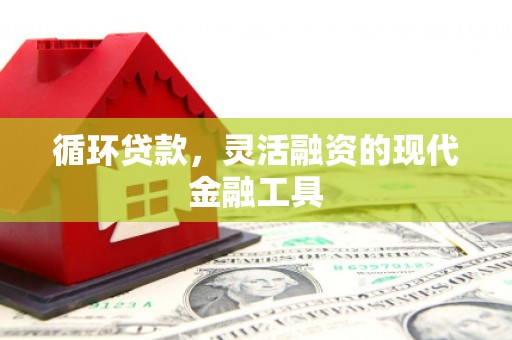 贵溪循环贷款，灵活融资的现代金融工具