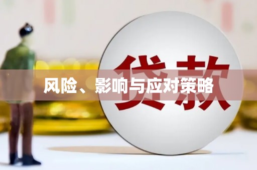 贵溪风险、影响与应对策略