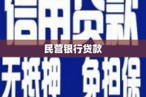 贵溪民营银行贷款