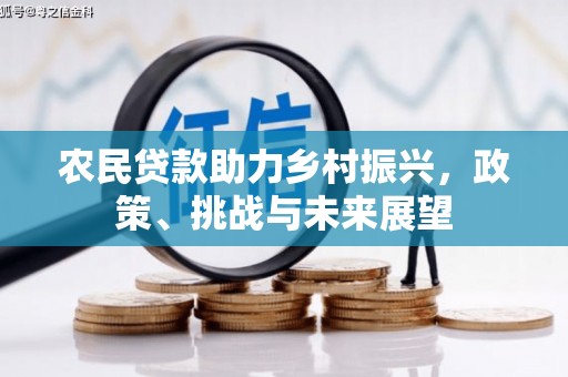 贵溪农民贷款助力乡村振兴，政策、挑战与未来展望