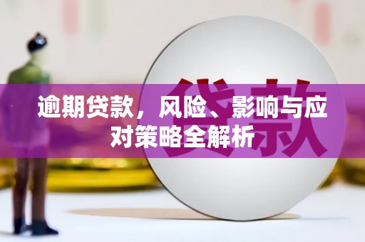 贵溪逾期贷款，风险、影响与应对策略全解析