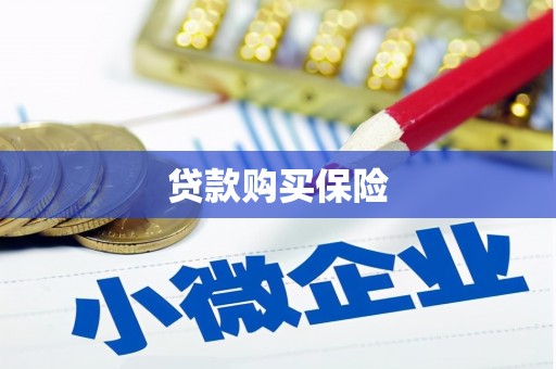 贵溪贷款购买保险