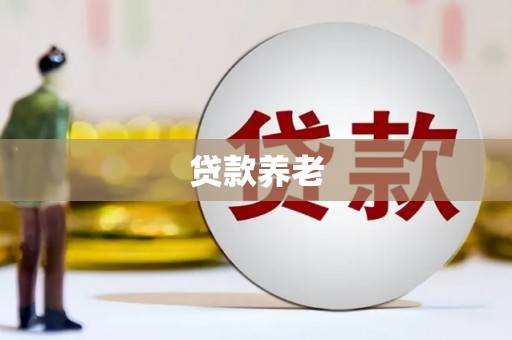 贵溪贷款养老