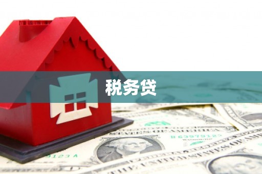 贵溪税务贷