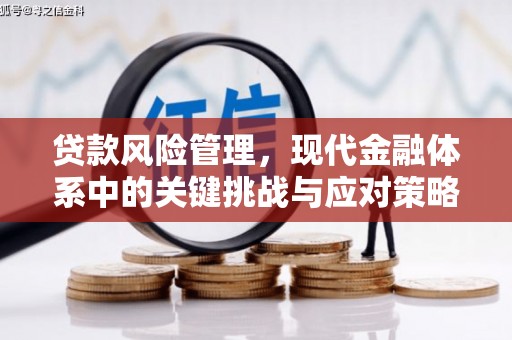 贵溪贷款风险管理，现代金融体系中的关键挑战与应对策略