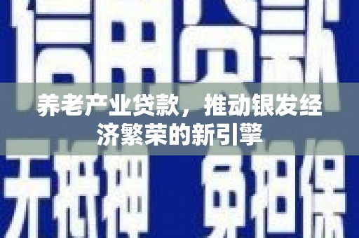 贵溪养老产业贷款，推动银发经济繁荣的新引擎