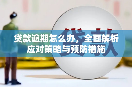 贵溪贷款逾期怎么办，全面解析应对策略与预防措施