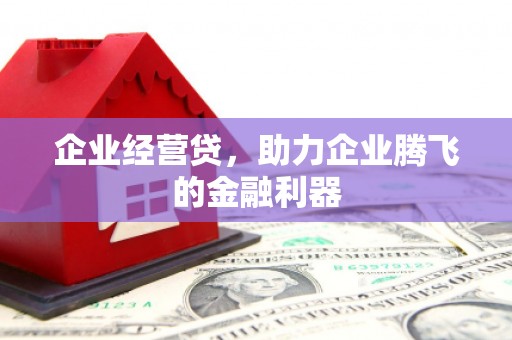 贵溪企业经营贷，助力企业腾飞的金融利器