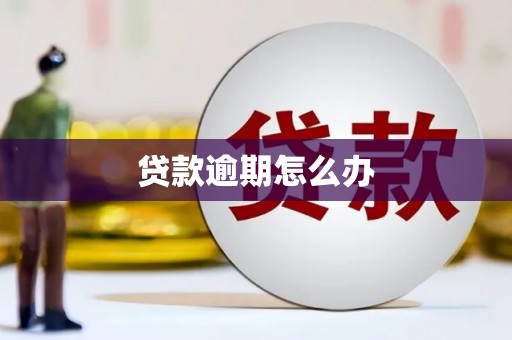 贵溪贷款逾期怎么办