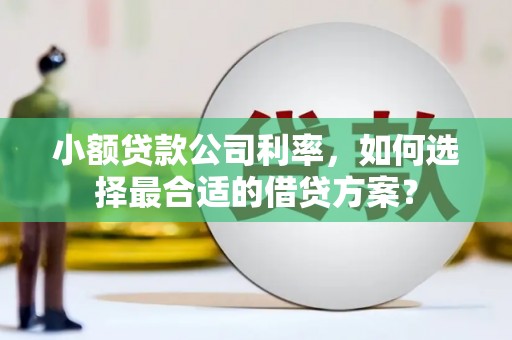 贵溪小额贷款公司利率，如何选择最合适的借贷方案？