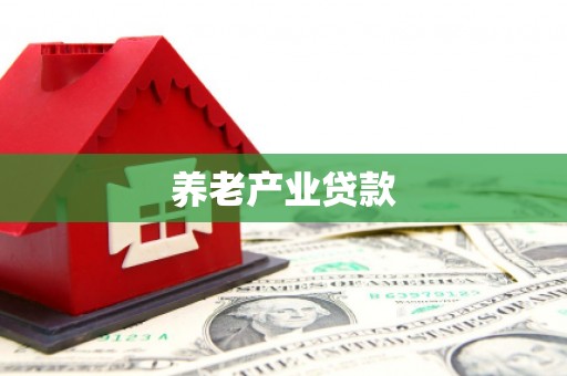 贵溪养老产业贷款