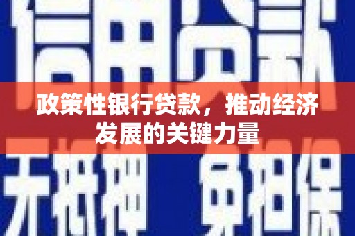 贵溪政策性银行贷款，推动经济发展的关键力量