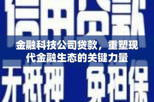 贵溪金融科技公司贷款，重塑现代金融生态的关键力量