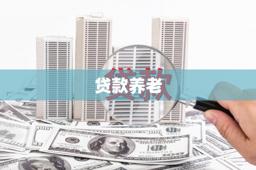 贵溪贷款养老