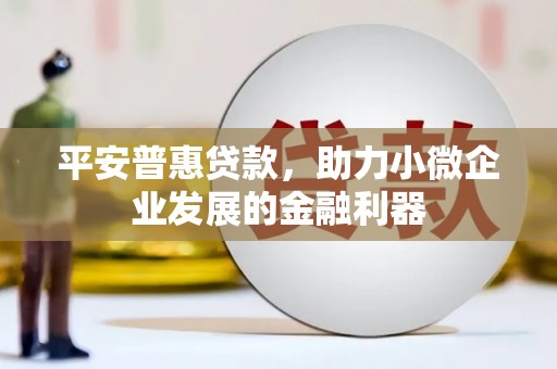 贵溪平安普惠贷款，助力小微企业发展的金融利器