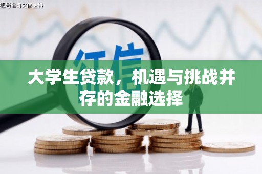贵溪大学生贷款，机遇与挑战并存的金融选择