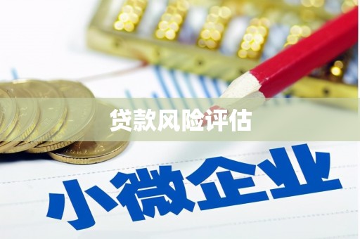 贵溪贷款风险评估