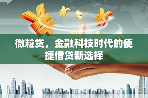 贵溪微粒贷，金融科技时代的便捷借贷新选择
