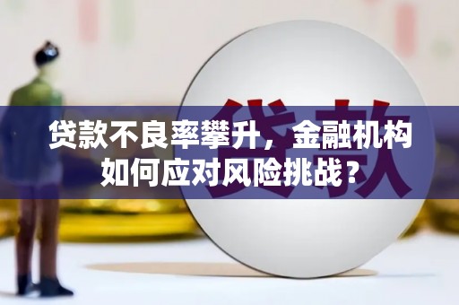 贵溪贷款不良率攀升，金融机构如何应对风险挑战？