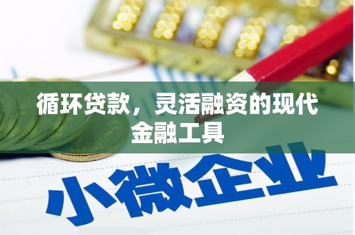 贵溪循环贷款，灵活融资的现代金融工具