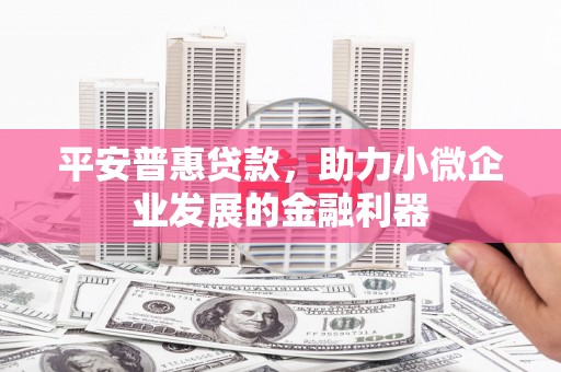 贵溪平安普惠贷款，助力小微企业发展的金融利器