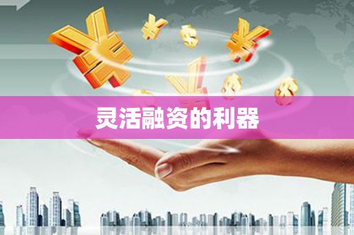 贵溪灵活融资的利器