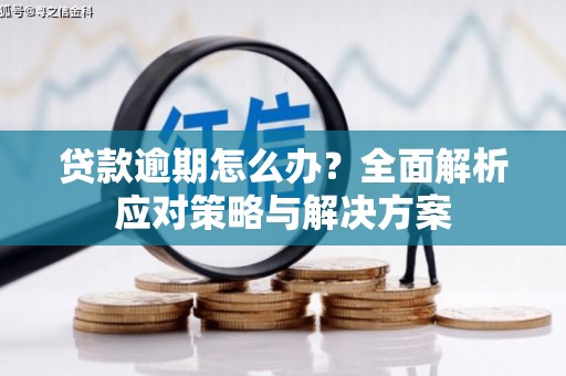 贵溪贷款逾期怎么办？全面解析应对策略与解决方案