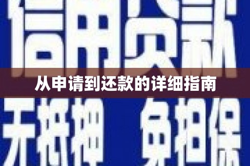 贵溪从申请到还款的详细指南