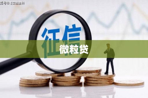 贵溪微粒贷