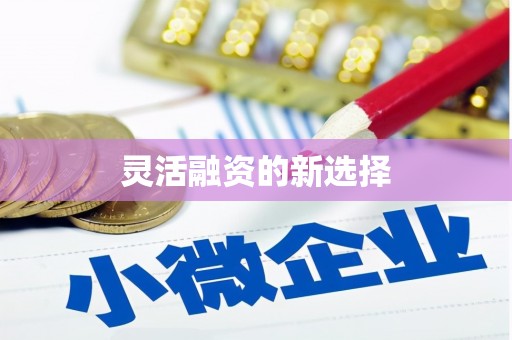 贵溪灵活融资的新选择