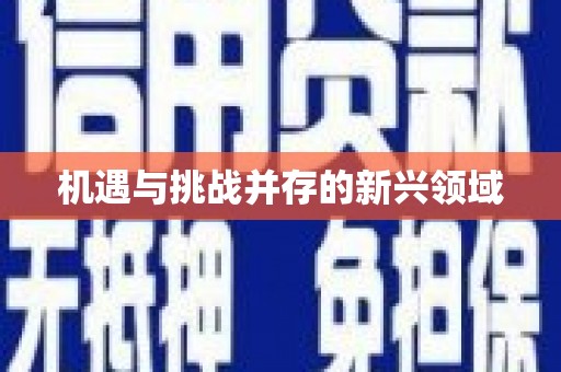 贵溪机遇与挑战并存的新兴领域