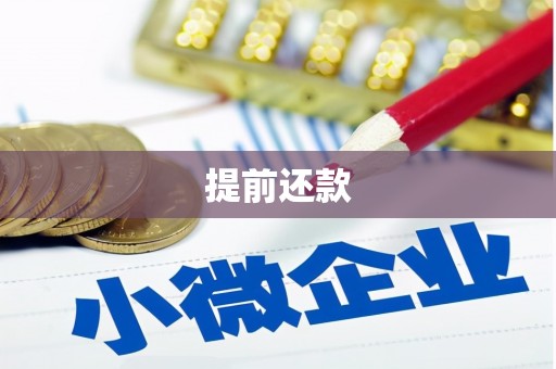 贵溪提前还款