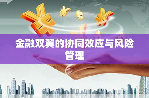 贵溪金融双翼的协同效应与风险管理