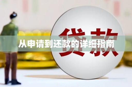贵溪从申请到还款的详细指南