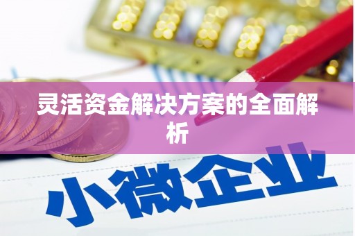 贵溪灵活资金解决方案的全面解析