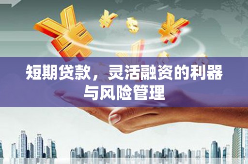贵溪短期贷款，灵活融资的利器与风险管理