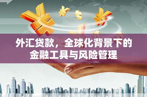 贵溪外汇贷款，全球化背景下的金融工具与风险管理