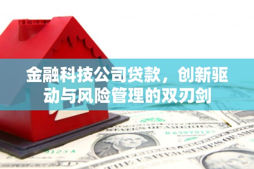 贵溪金融科技公司贷款，创新驱动与风险管理的双刃剑