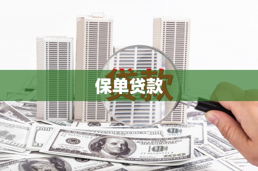 贵溪保单贷款